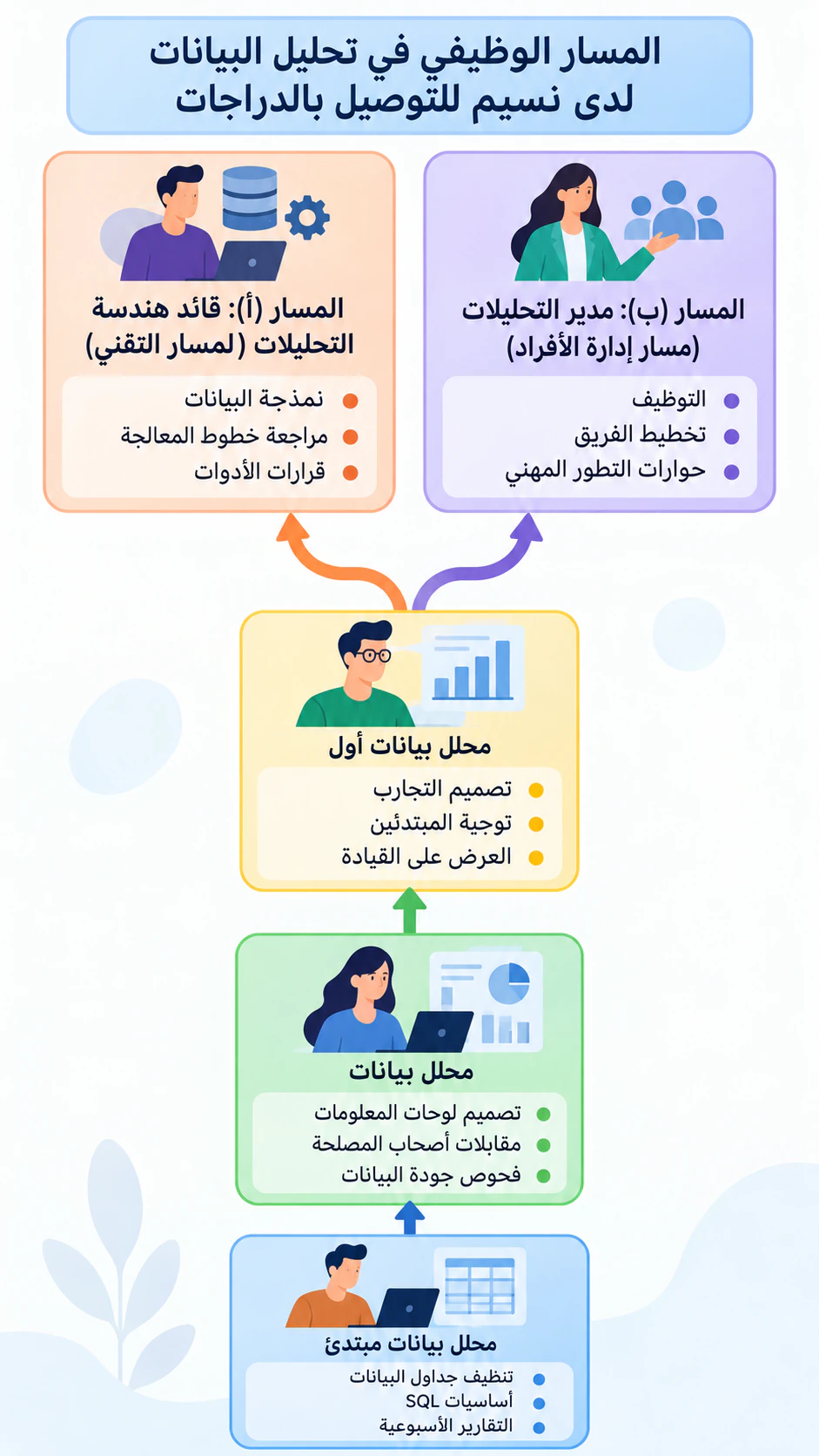 إنفوجرافيك مسار وظيفي بالمراحل والمهارات: خمس مراحل تنتهي بتفرّع إلى مسارين، بمسميات طويلة ودون مدد