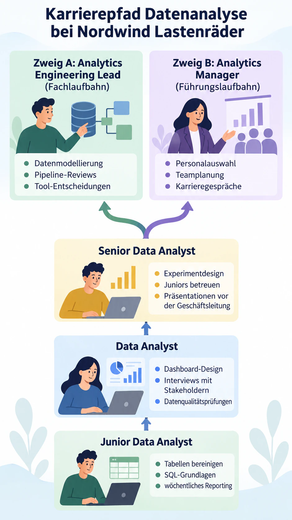 Karrierepfad als Infografik mit Stufen und Kompetenzen: Fünf Stufen mit Gabelung am Ende, lange Titel und keine Zeitangabe