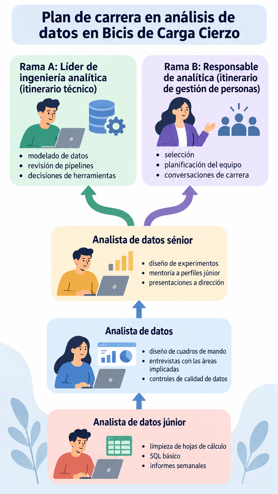 Infografía de plan de carrera con etapas y competencias: Cinco etapas que terminan en dos ramas, títulos largos y sin plazos