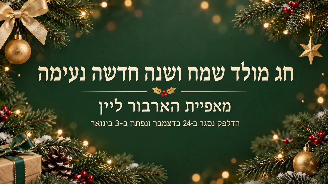 דוגמה: באנר חג מולד לדוא״ל של המותג