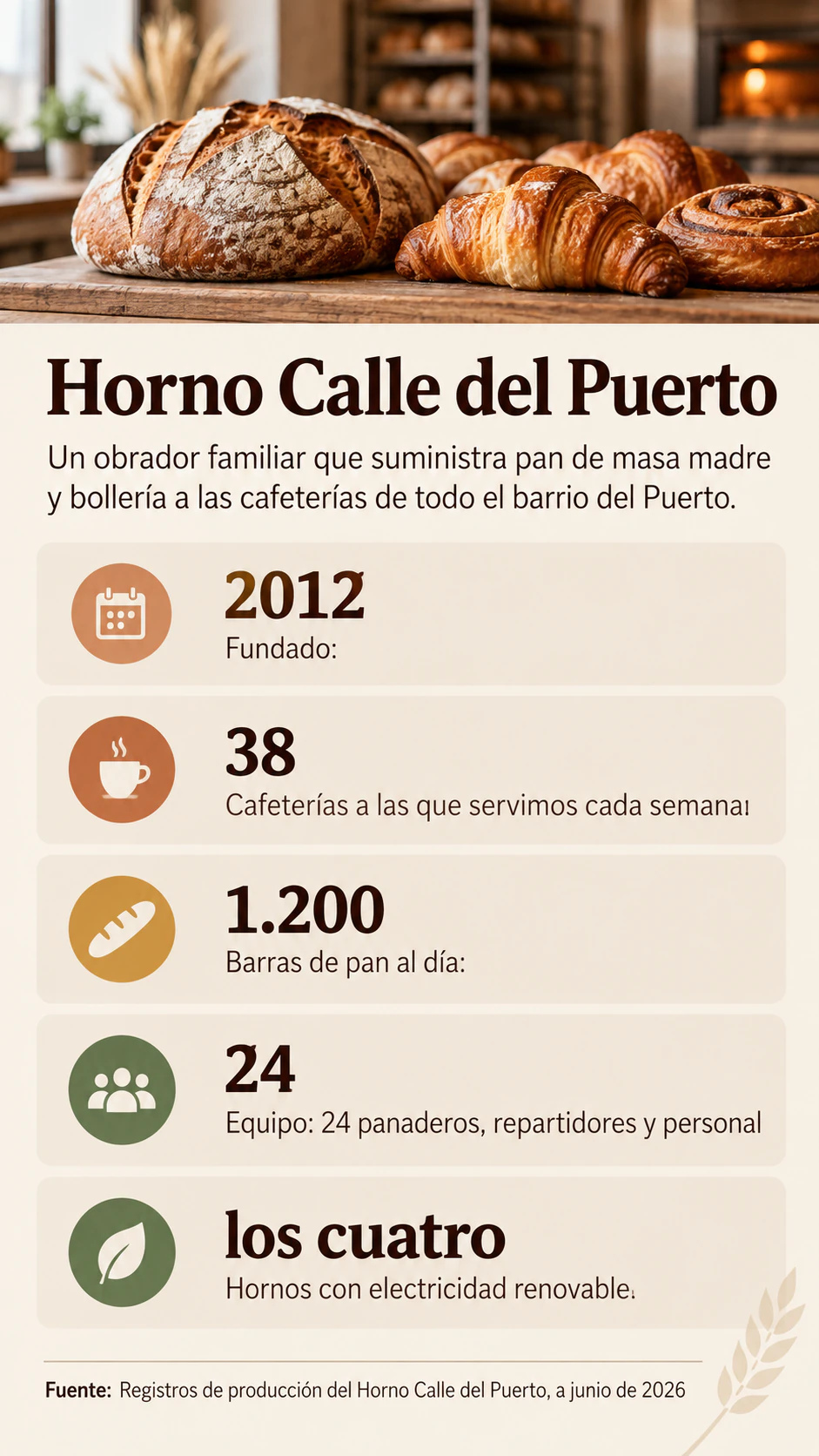 Ejemplo de Infografía de ficha de datos de empresa