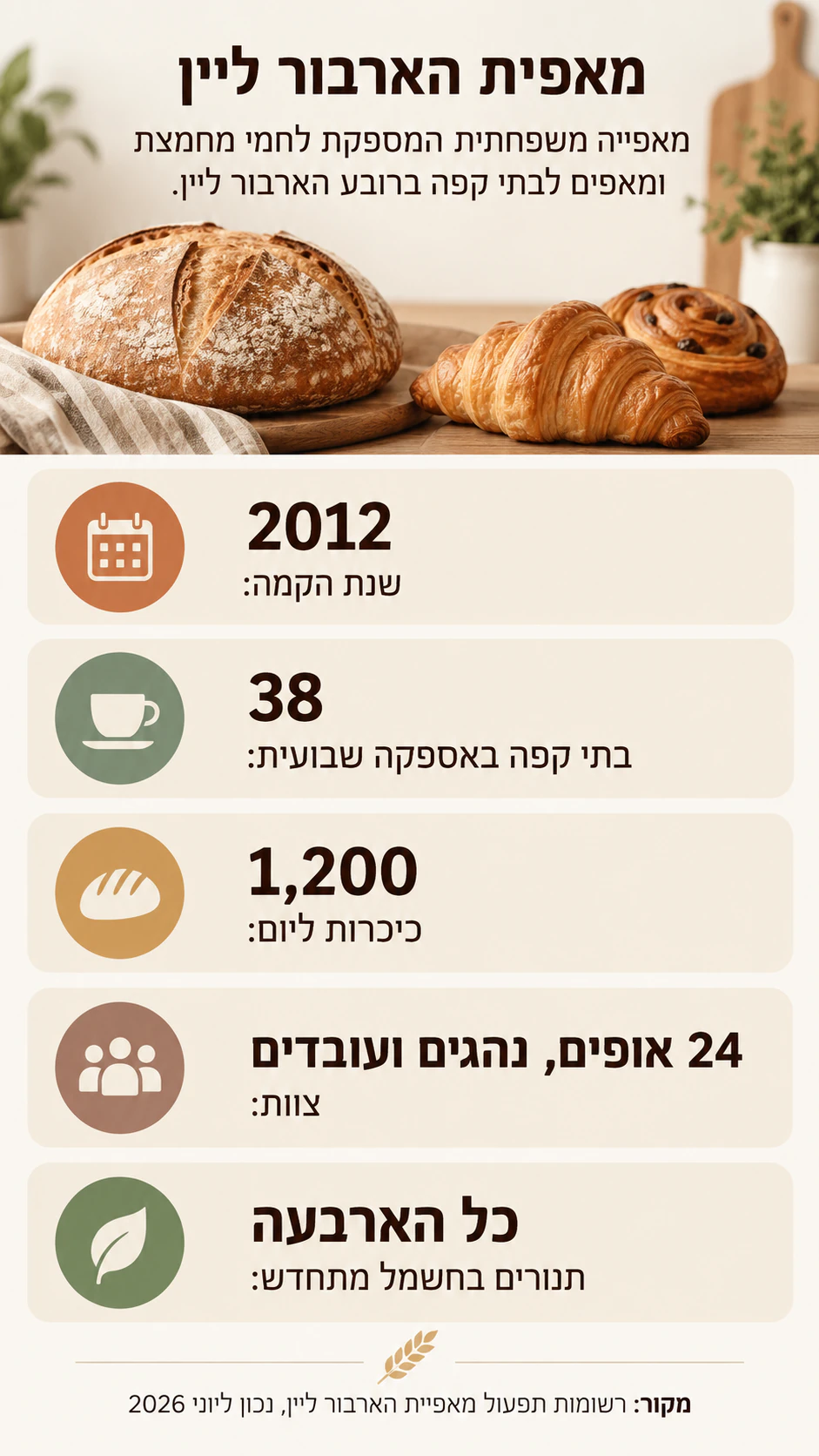 דוגמה: דף נתוני חברה כאינפוגרפיקה