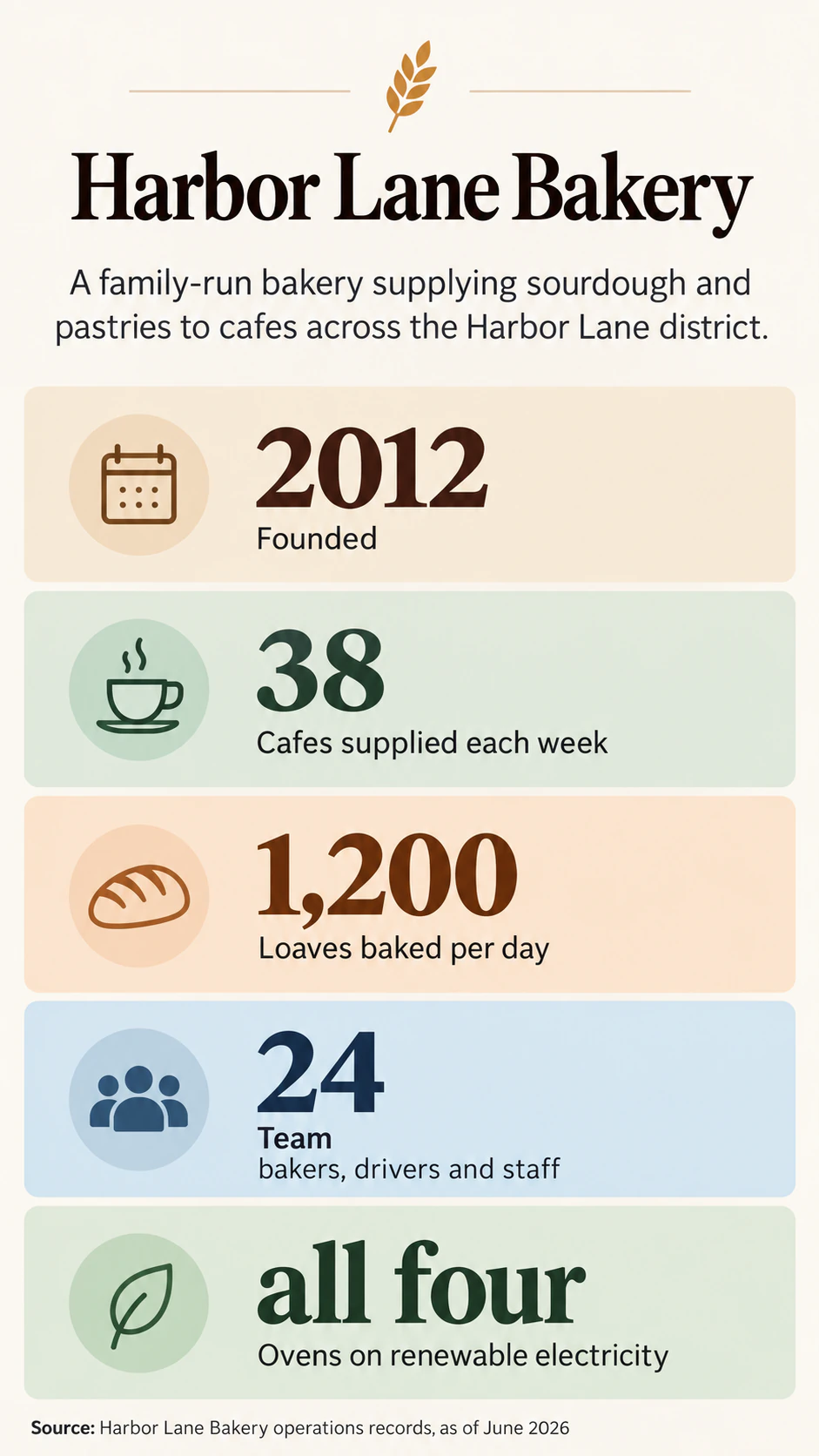 Company fact sheet infographic example