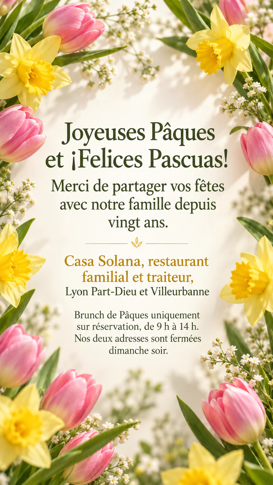 Publication Joyeuses Pâques avec fleurs de printemps ou œufs peints : Message bilingue avec accents, sans motif choisi, en Story