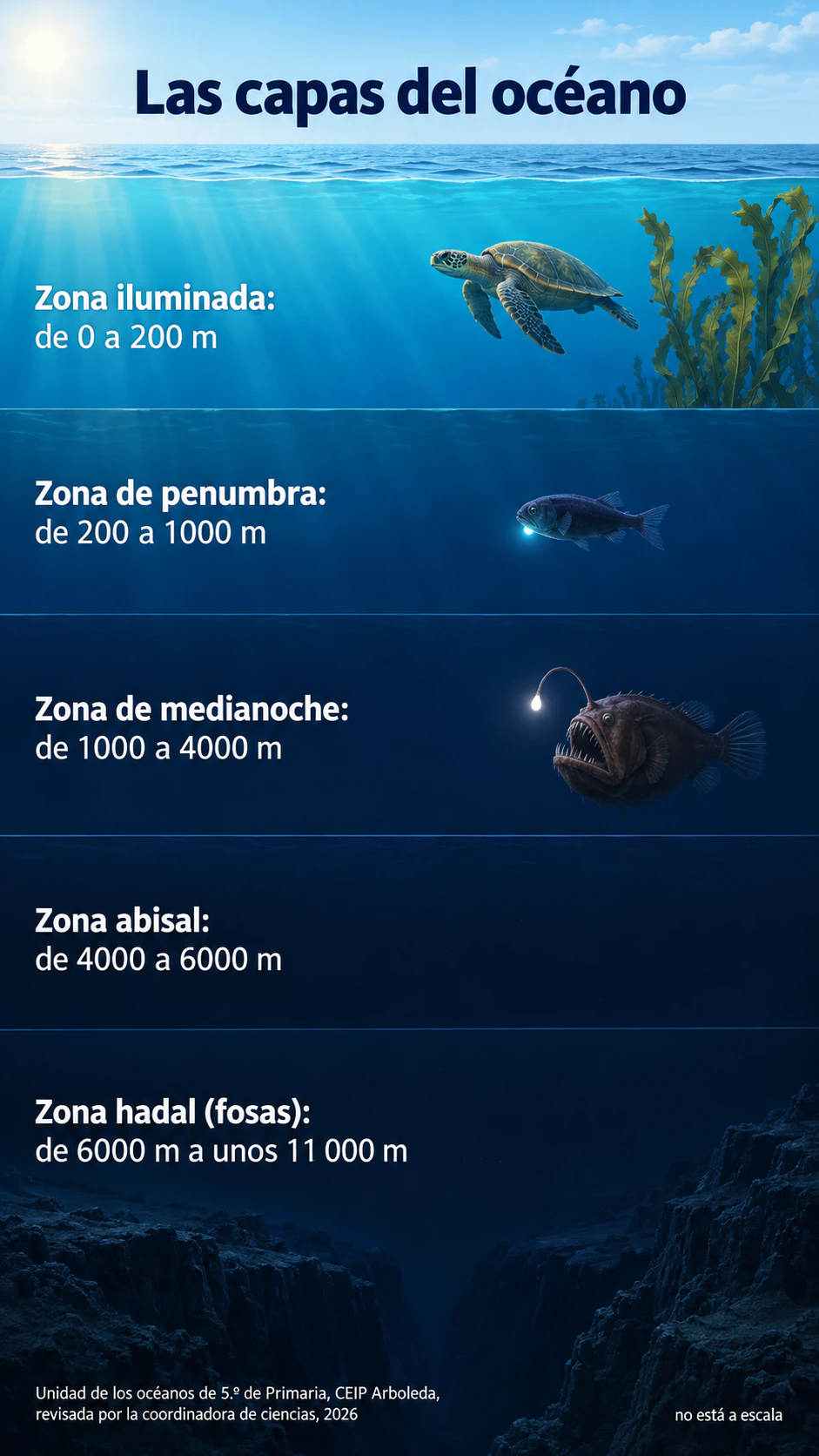 Ejemplo de Infografía de las zonas de profundidad del océano