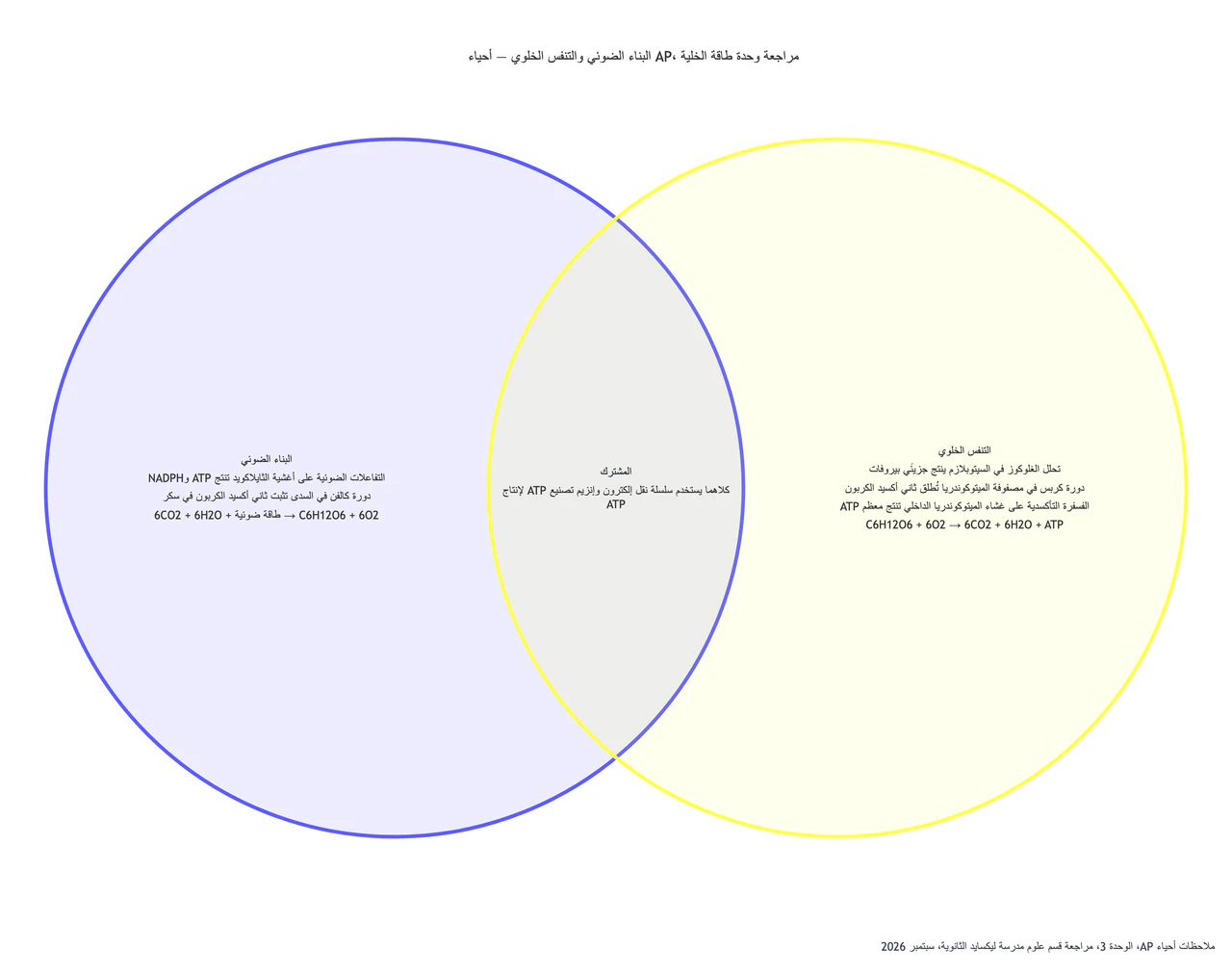 مقارنة البناء الضوئي والتنفس الخلوي بمخطط فن: أحياء متقدمة بأسماء مراحل وصيغ ونقطة مشتركة واحدة
