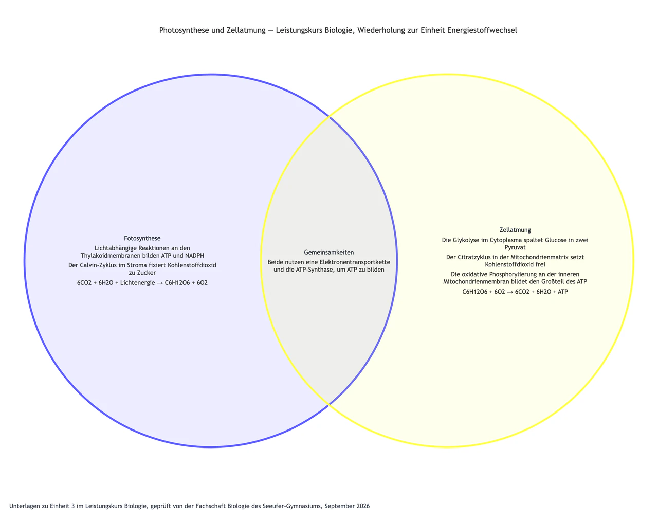 Fotosynthese und Zellatmung im Venn-Diagramm verglichen: Leistungskurs Biologie mit langen Namen der Teilschritte, Formeln und einer Gemeinsamkeit