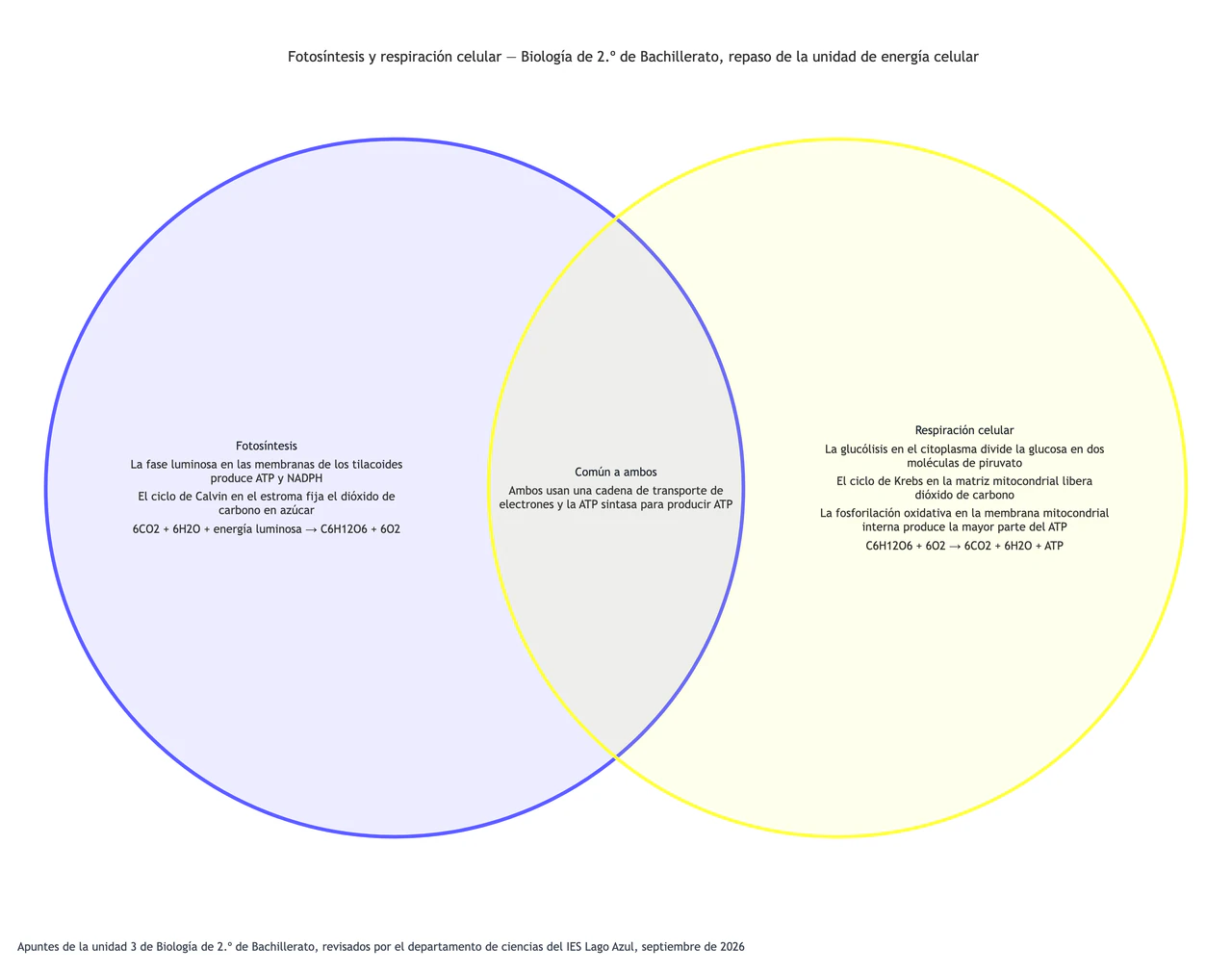 Fotosíntesis y respiración celular comparadas en un diagrama de Venn: Biología avanzada con nombres de fases largos, fórmulas y un único punto común