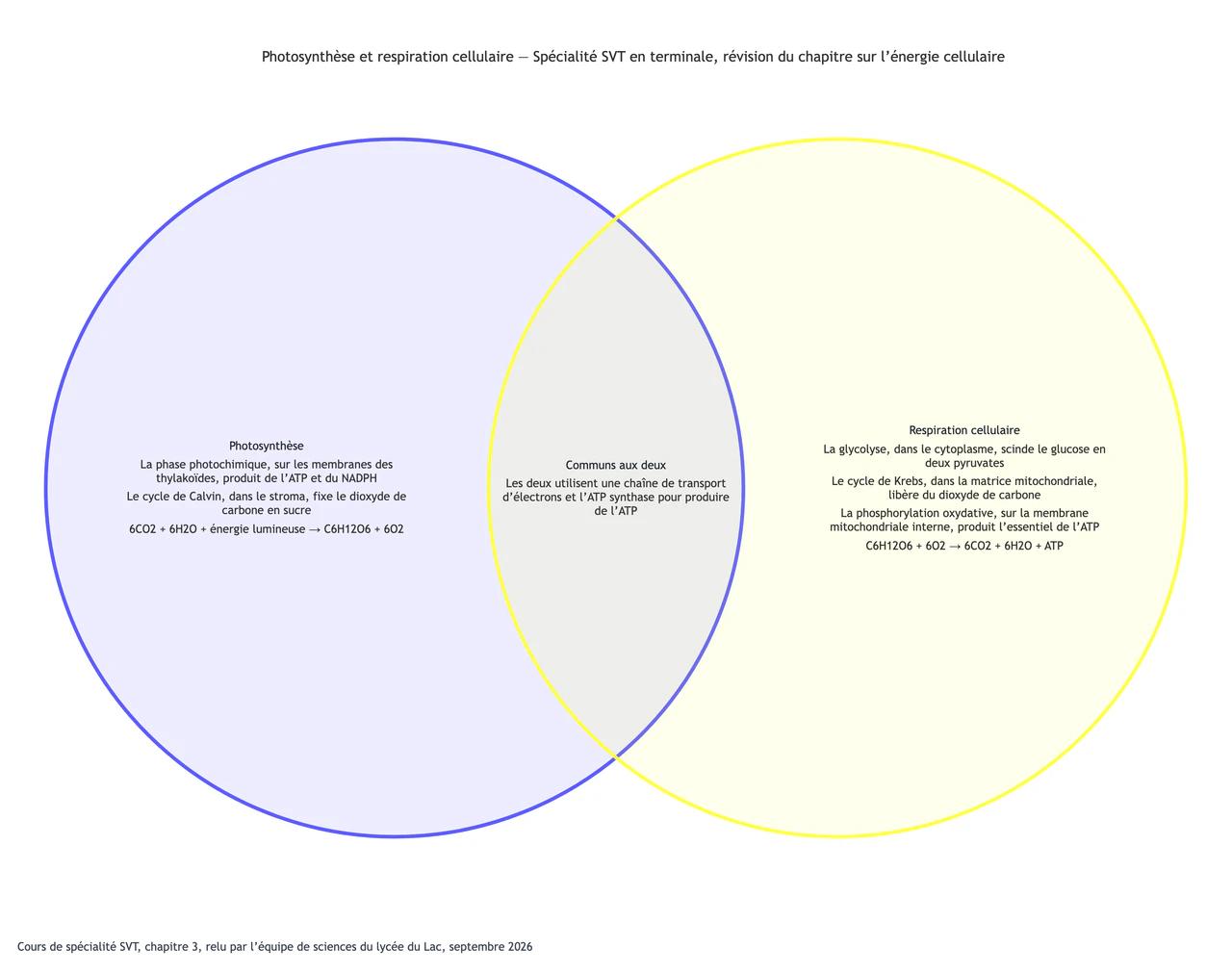 Photosynthèse et respiration cellulaire comparées dans un diagramme de Venn : Biologie avancée avec étapes aux noms longs, formules et un seul point commun