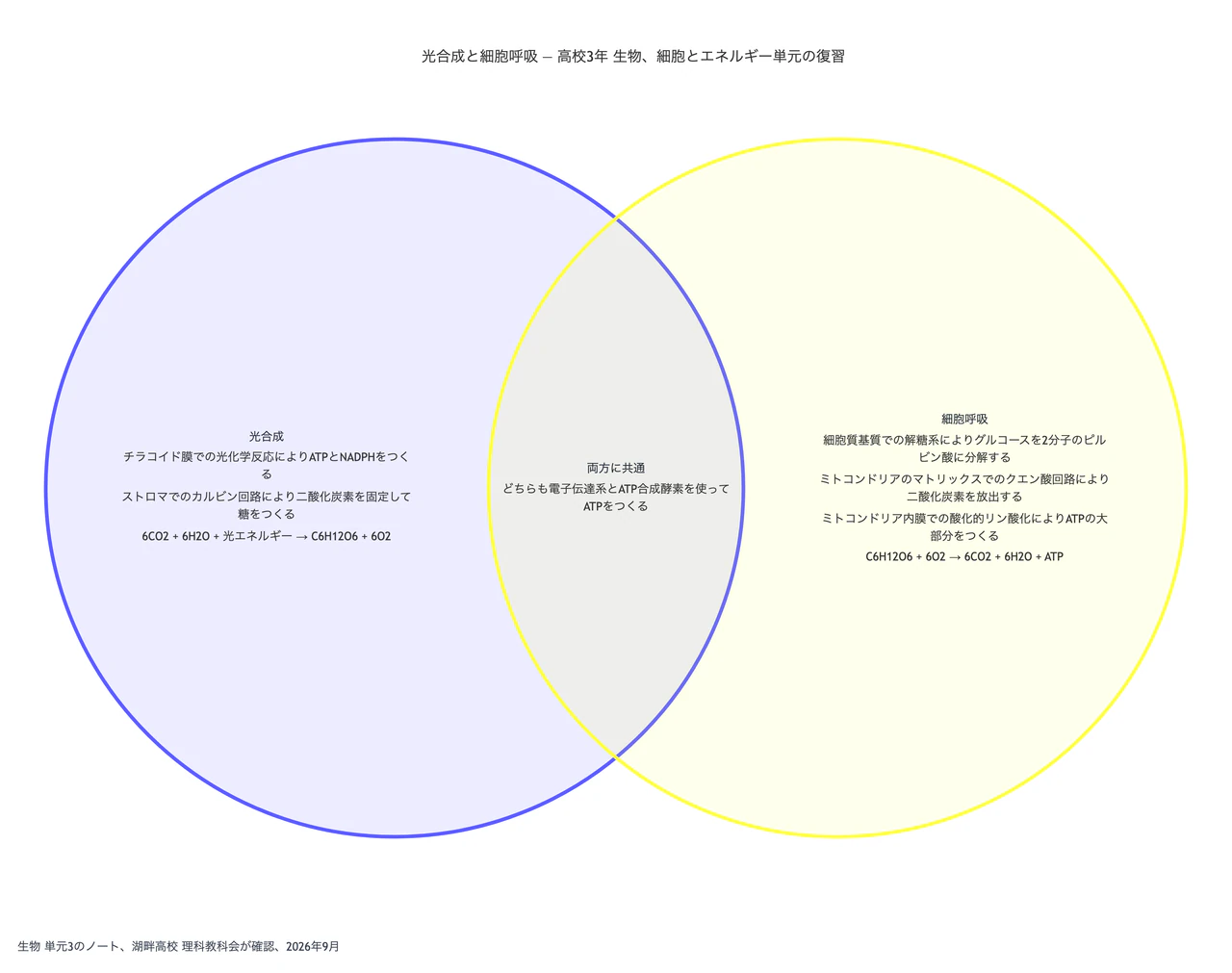 光合成と細胞呼吸をベン図で比べる：長い反応段階の名前、化学式、共通点が1つだけの発展的な生物