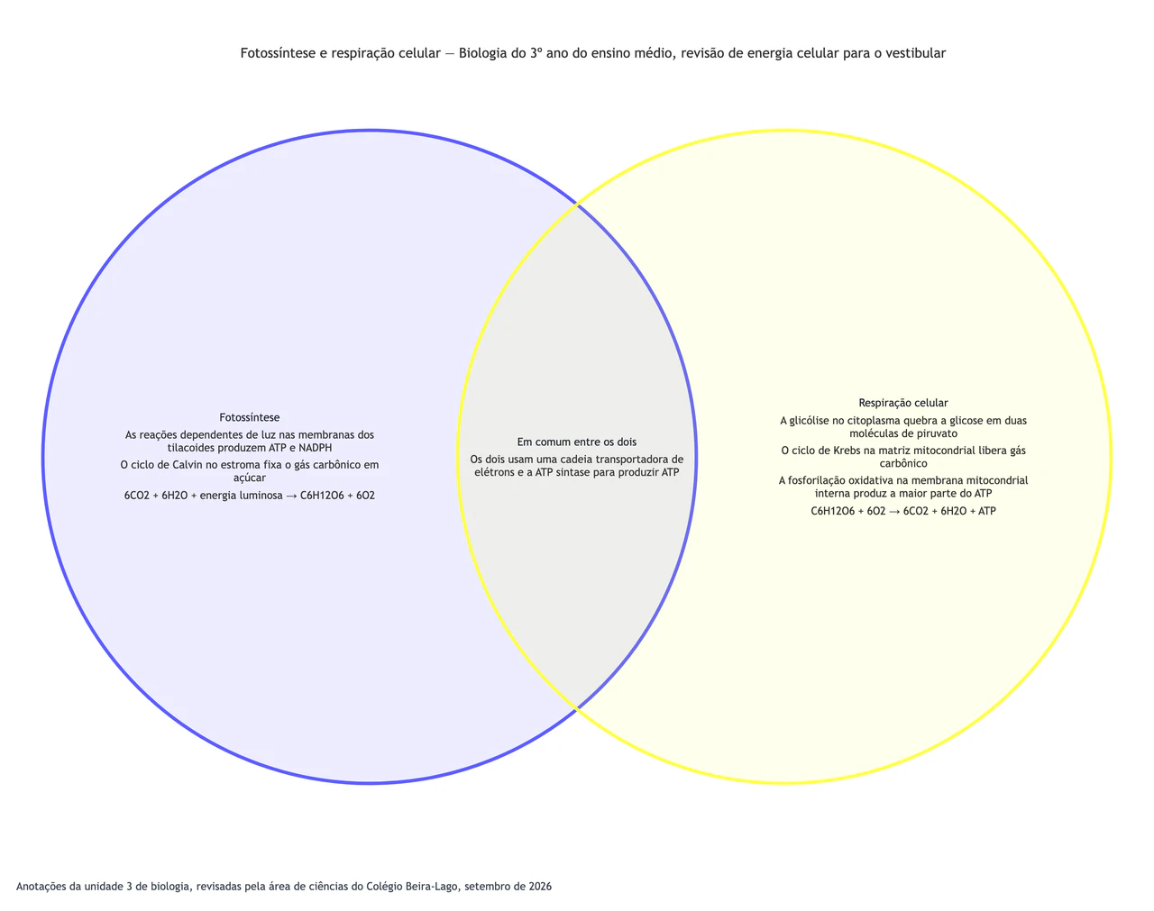 Fotossíntese e respiração celular comparadas em um diagrama de Venn: Biologia avançada com nomes longos de etapas, fórmulas e um único ponto em comum