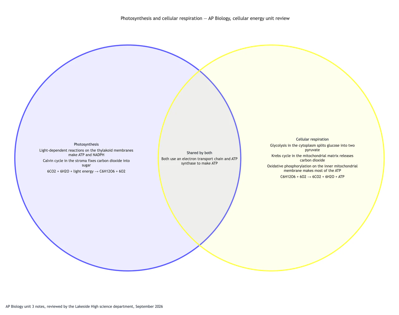Photosynthesis and cellular respiration compared in a Venn diagram: Advanced biology with long stage names, formulas and one shared point
