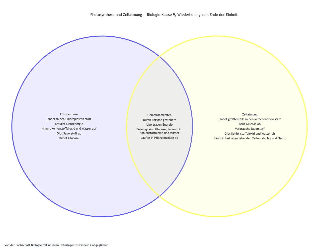 Beispiel: Fotosynthese und Zellatmung im Venn-Diagramm verglichen