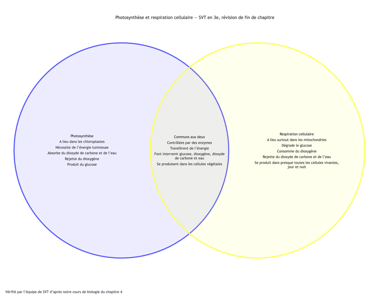 Exemple : Photosynthèse et respiration cellulaire comparées dans un diagramme de Venn