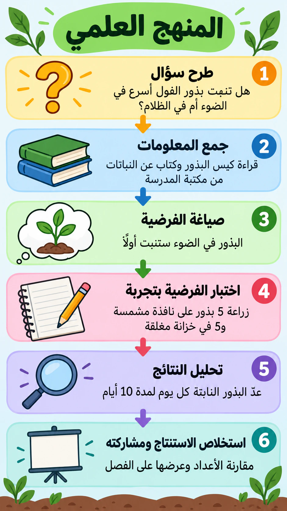 مثال على إنفوجرافيك خطوات المنهج العلمي
