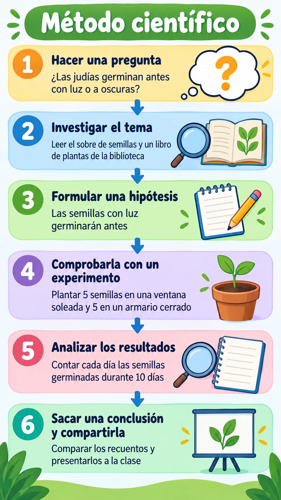 Ejemplo de Infografía con los pasos del método científico