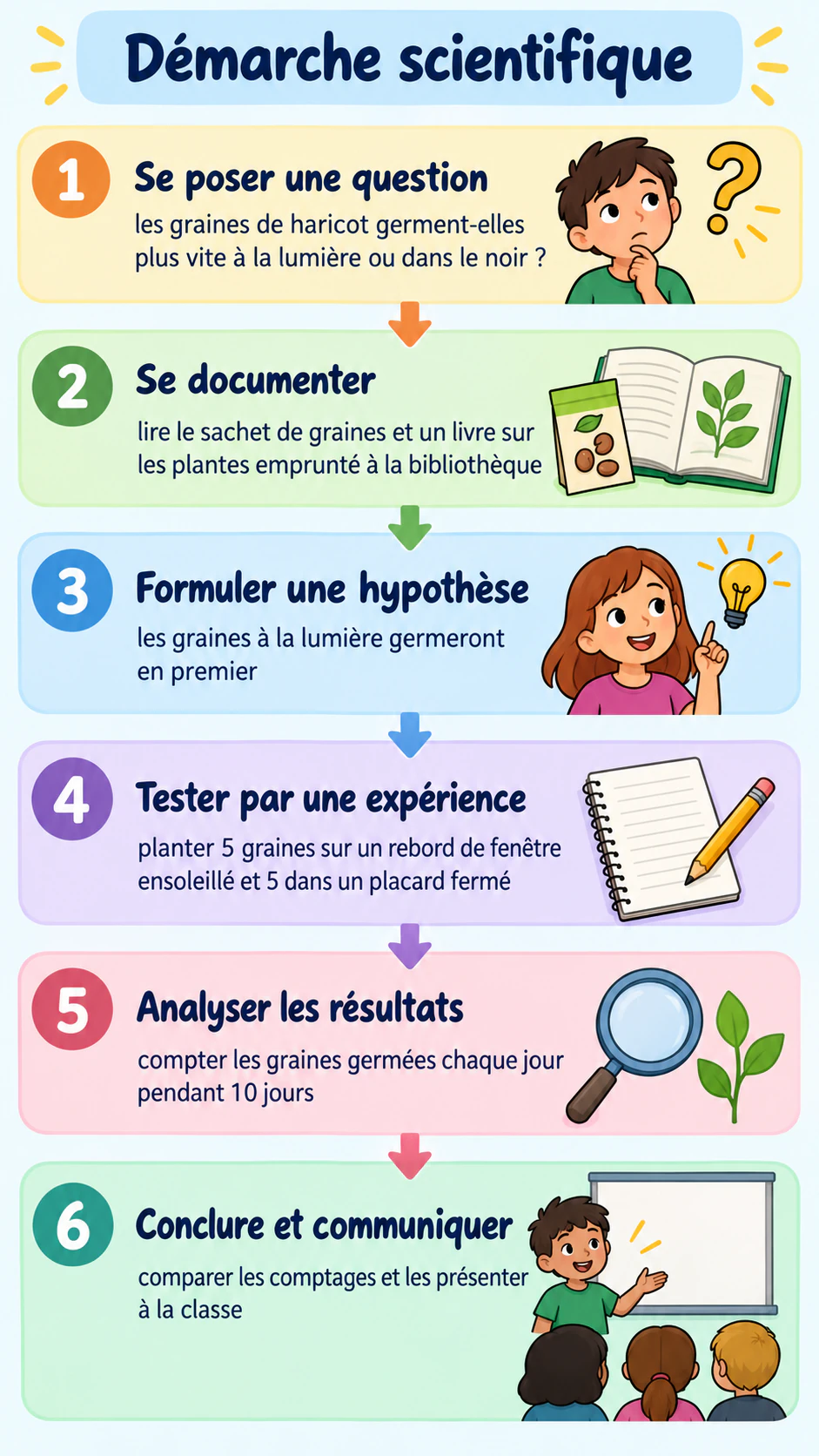 Exemple : Infographie des étapes de la démarche scientifique