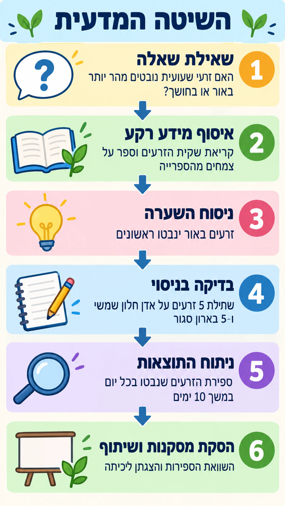 דוגמה: אינפוגרפיקה של שלבי השיטה המדעית