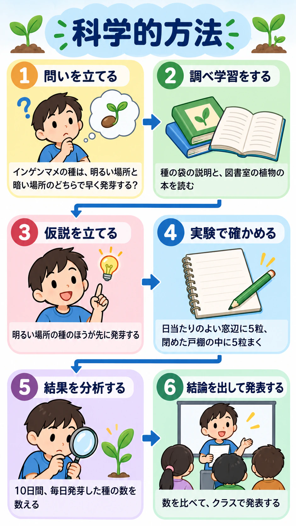 科学的方法の手順を示すインフォグラフィックの作例
