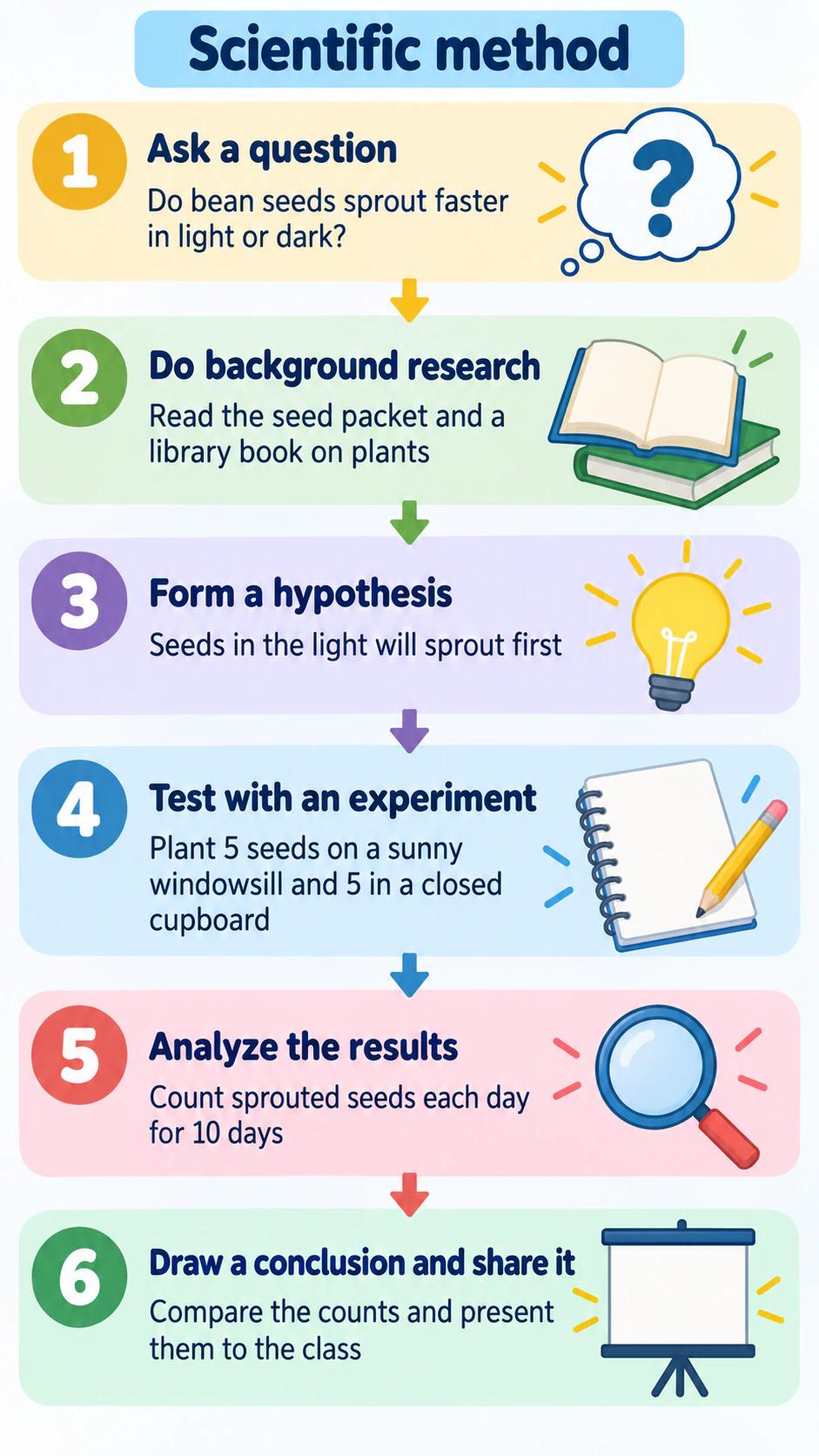Scientific method steps infographic example