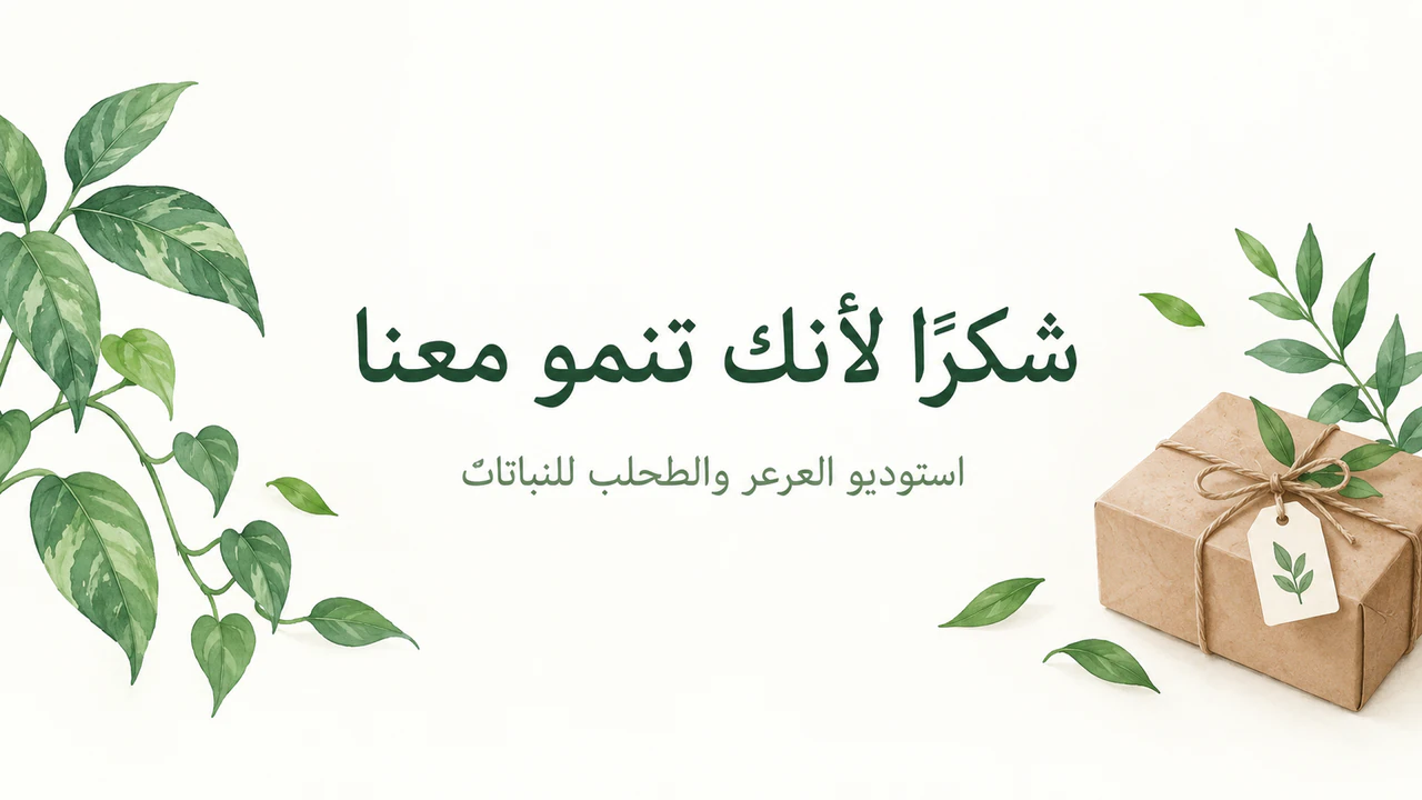 مثال على صورة شكر لرسائل البريد إلى العملاء