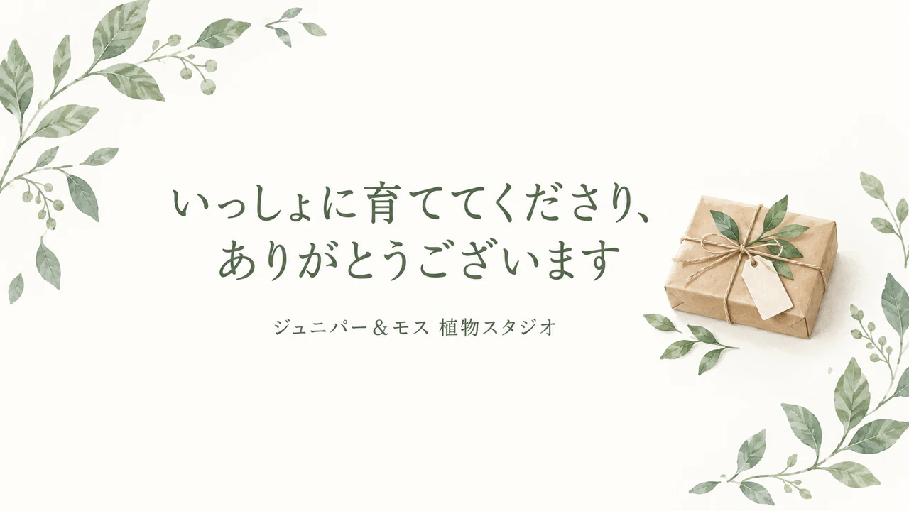 お客様へのメールに添える感謝の画像の作例