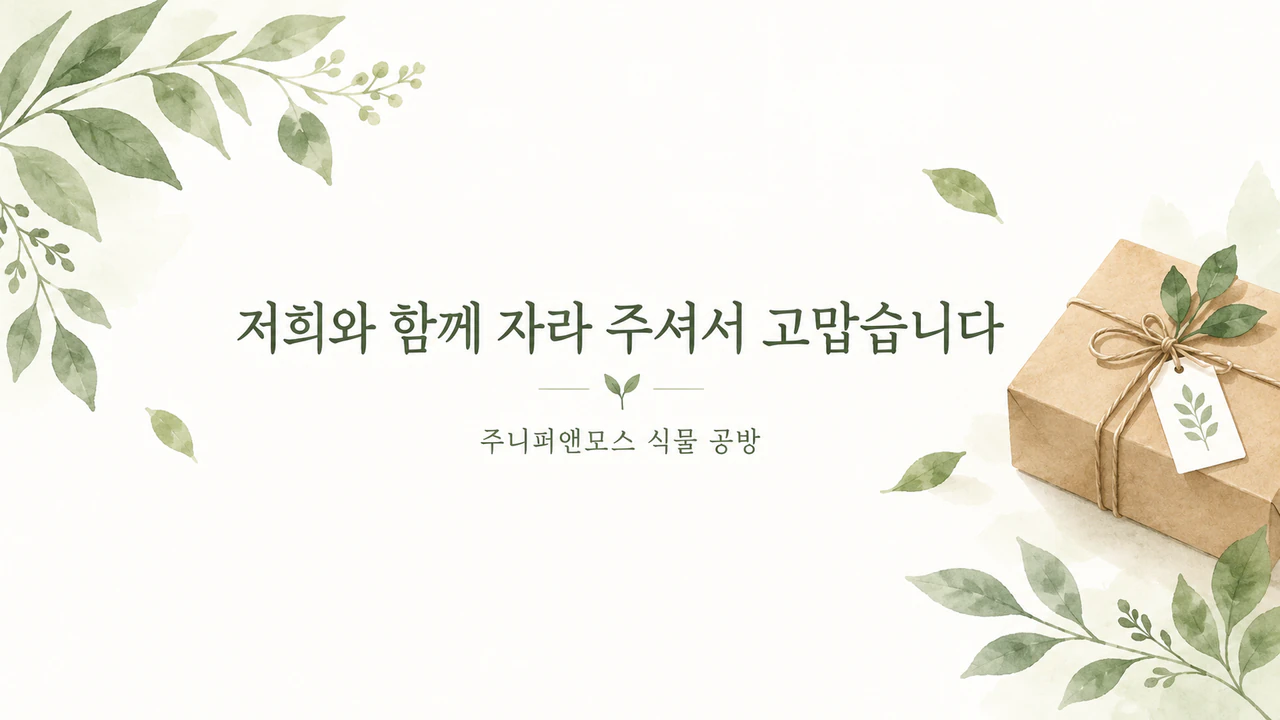 고객 이메일에 넣는 감사 이미지 예시