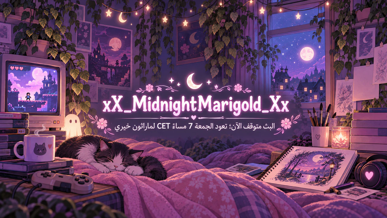 بانر قناة Twitch أو شاشة توقف البث: معرّف بشرطات سفلية ورسالة توقف طويلة بألوان وردية