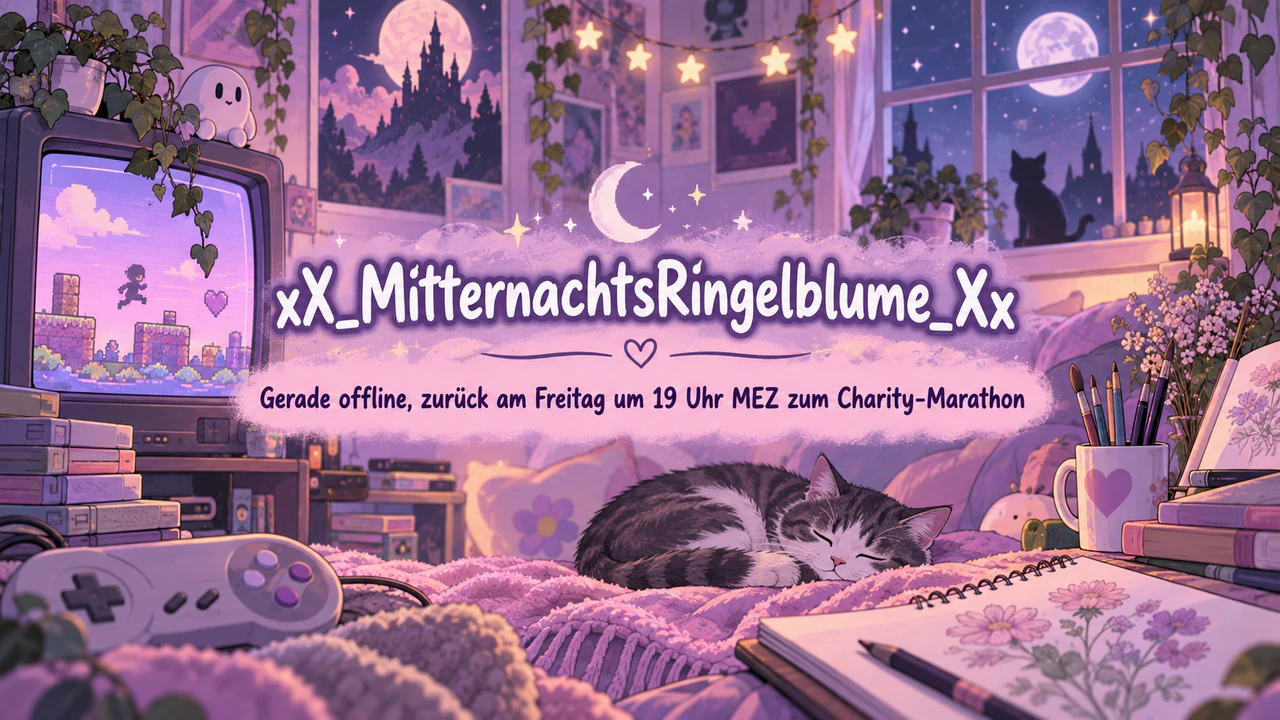 Twitch-Kanalbanner oder Offline-Bild: Handle mit Unterstrichen, lange Offline-Nachricht, Pastellrosa