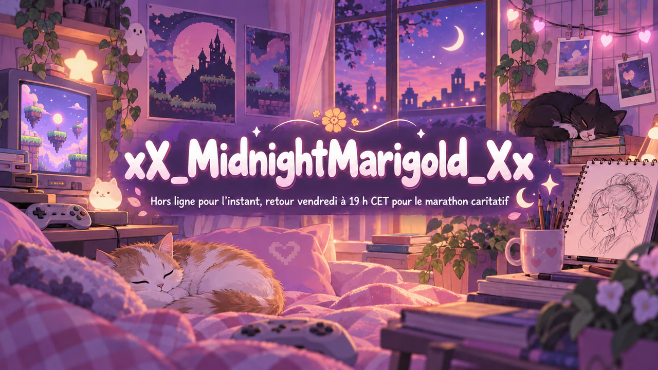 Bannière de chaîne Twitch ou écran hors ligne : Pseudo avec underscores, long message hors ligne, rose pastel